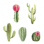 Cacti Decal