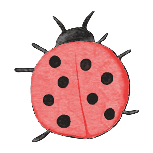 Lady Bug Decal