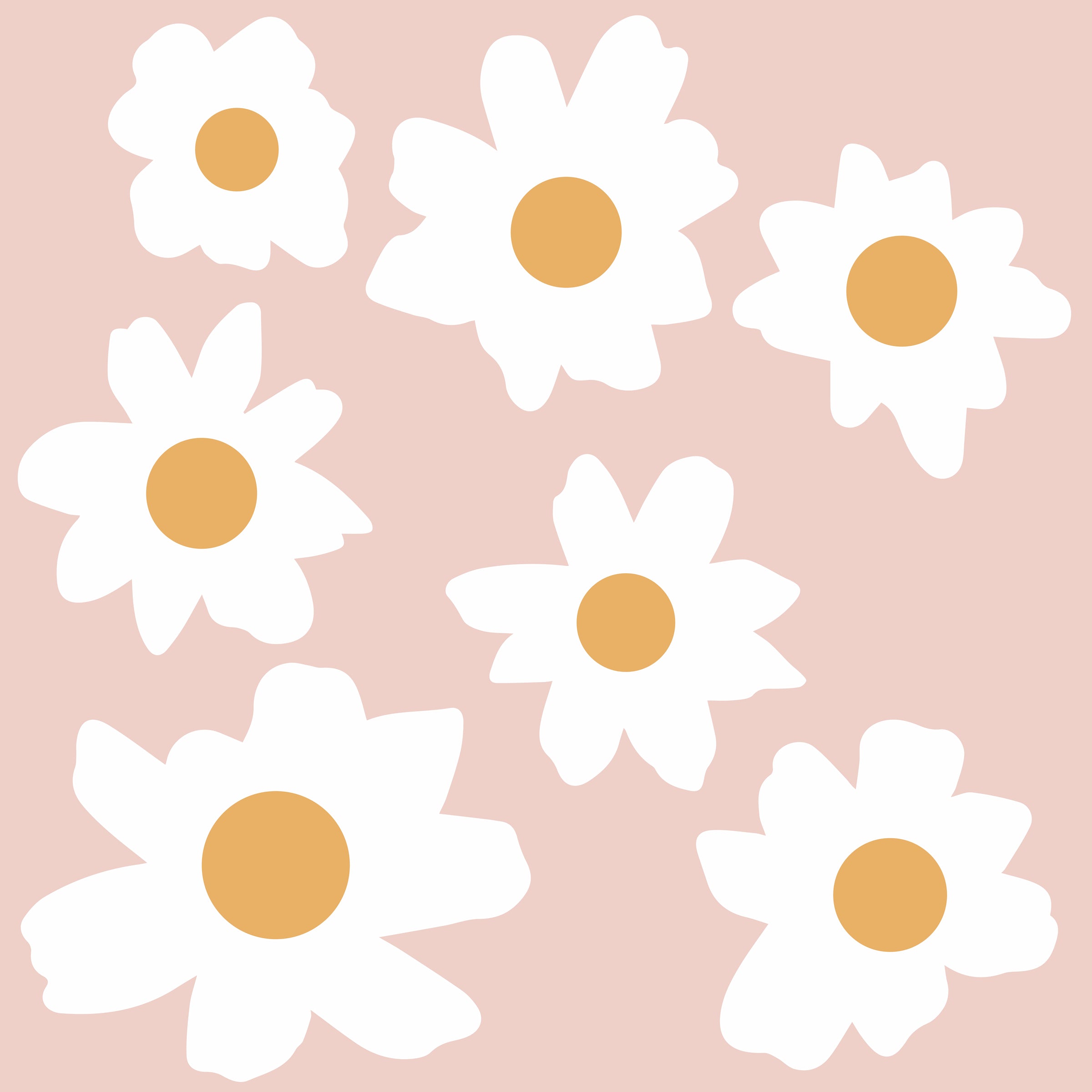 Messy Daisy Decal Set