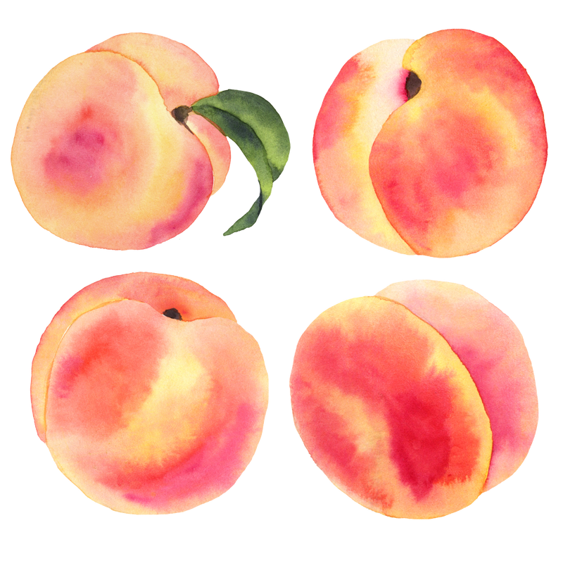 Watercolor Peaches and Leaves