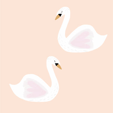 Swan